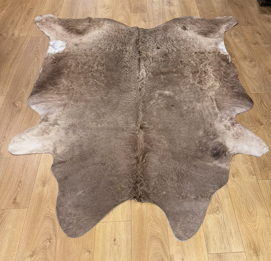 Cow Hide Rug