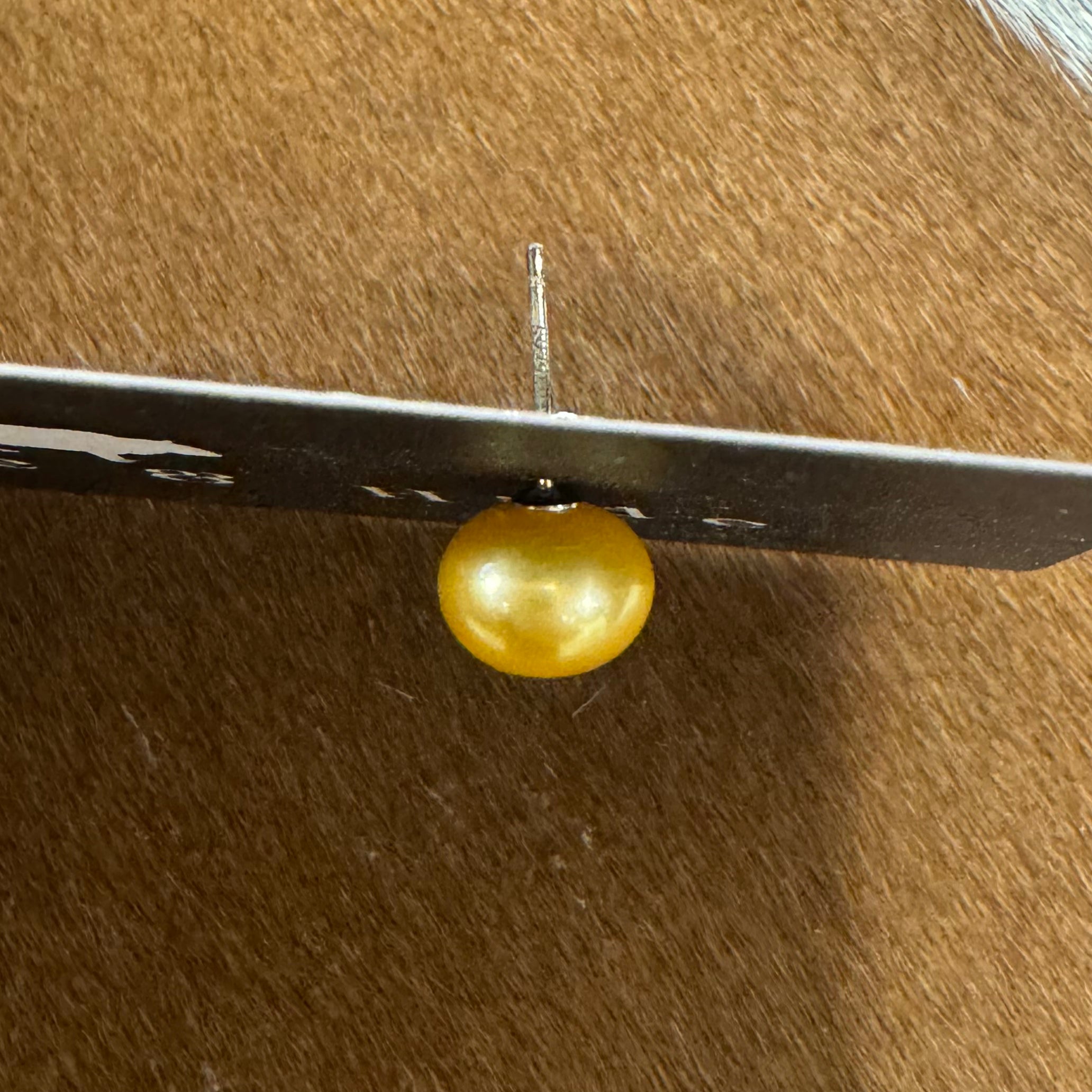9mm Gold Freshwater Pearls