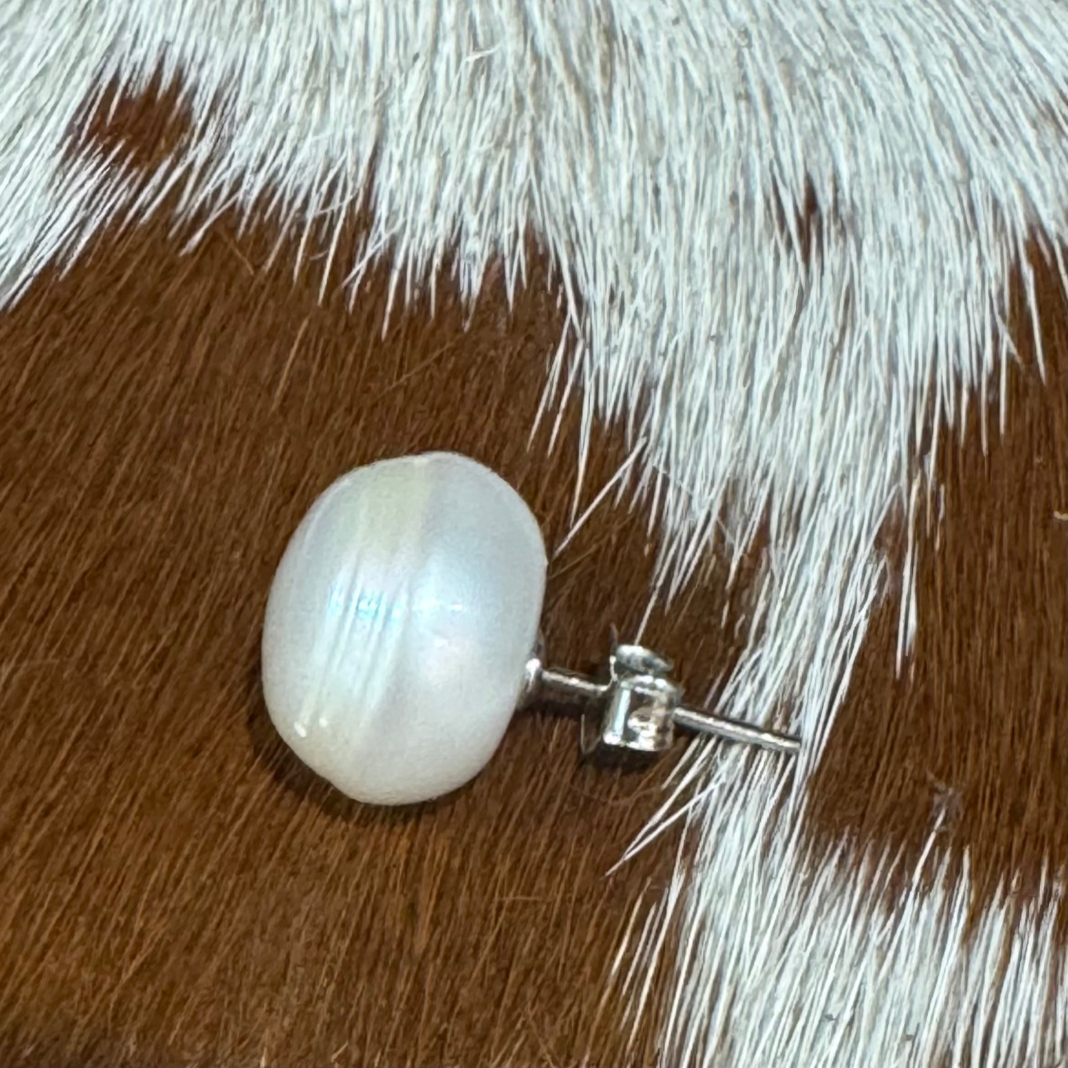 13mm Button Freshwater Pearls