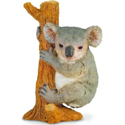 KOALA on Branch