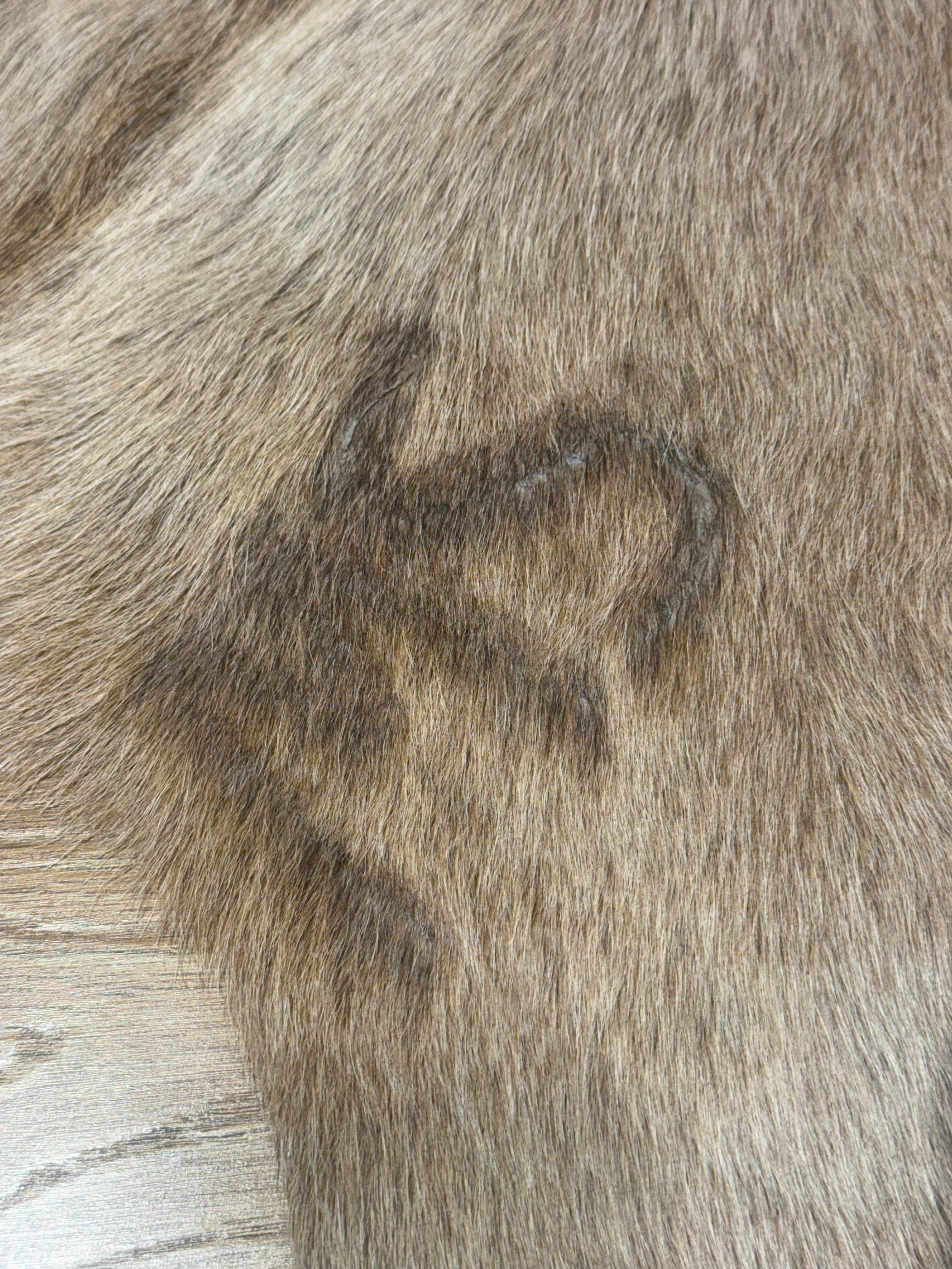 Cow Hide Rug