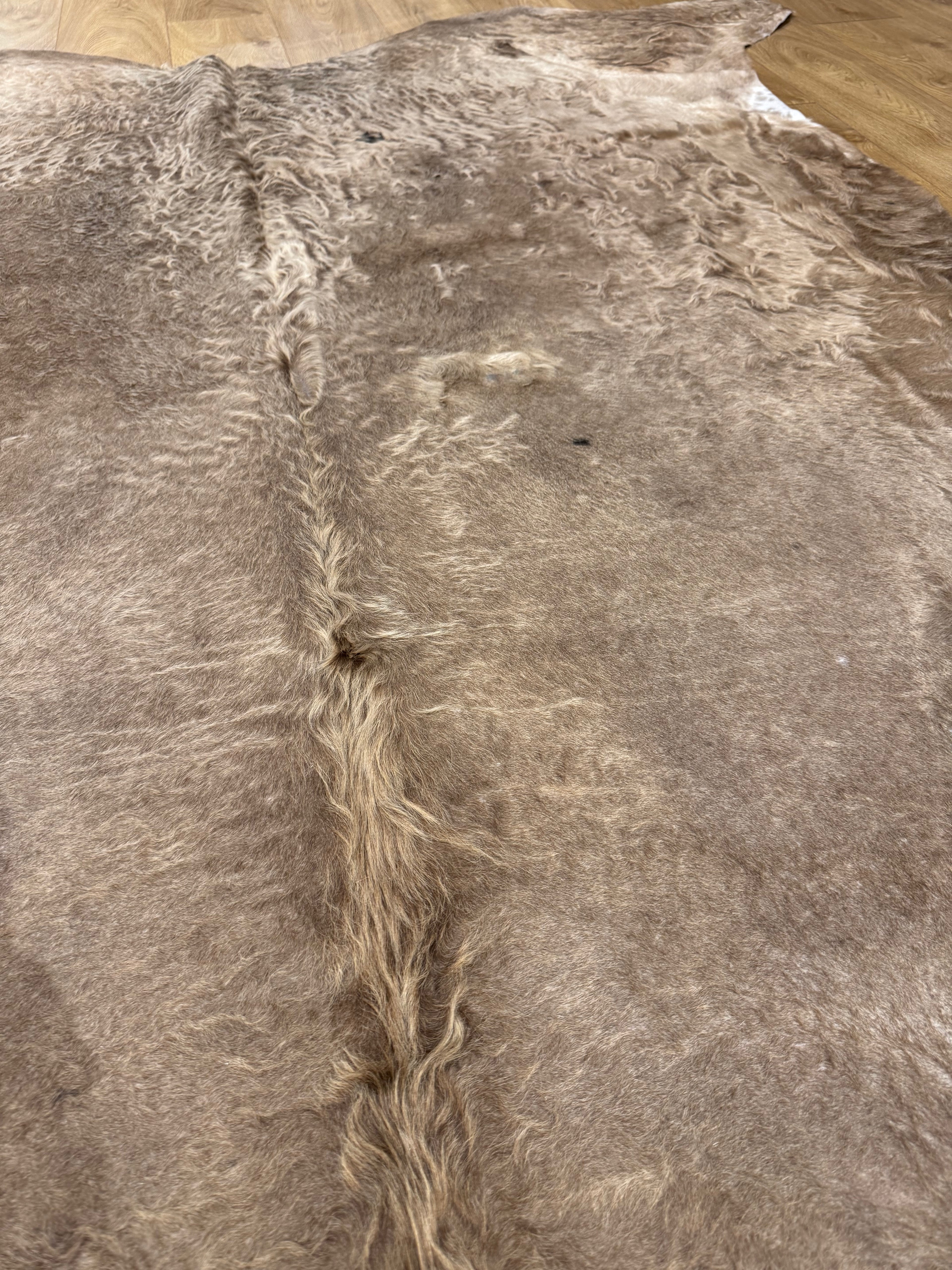 Cow Hide Rug