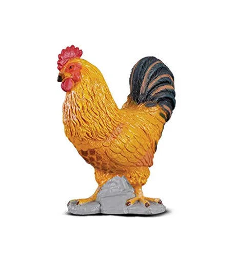 Cockeral Rooster