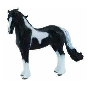 Barock Pinto Stallion