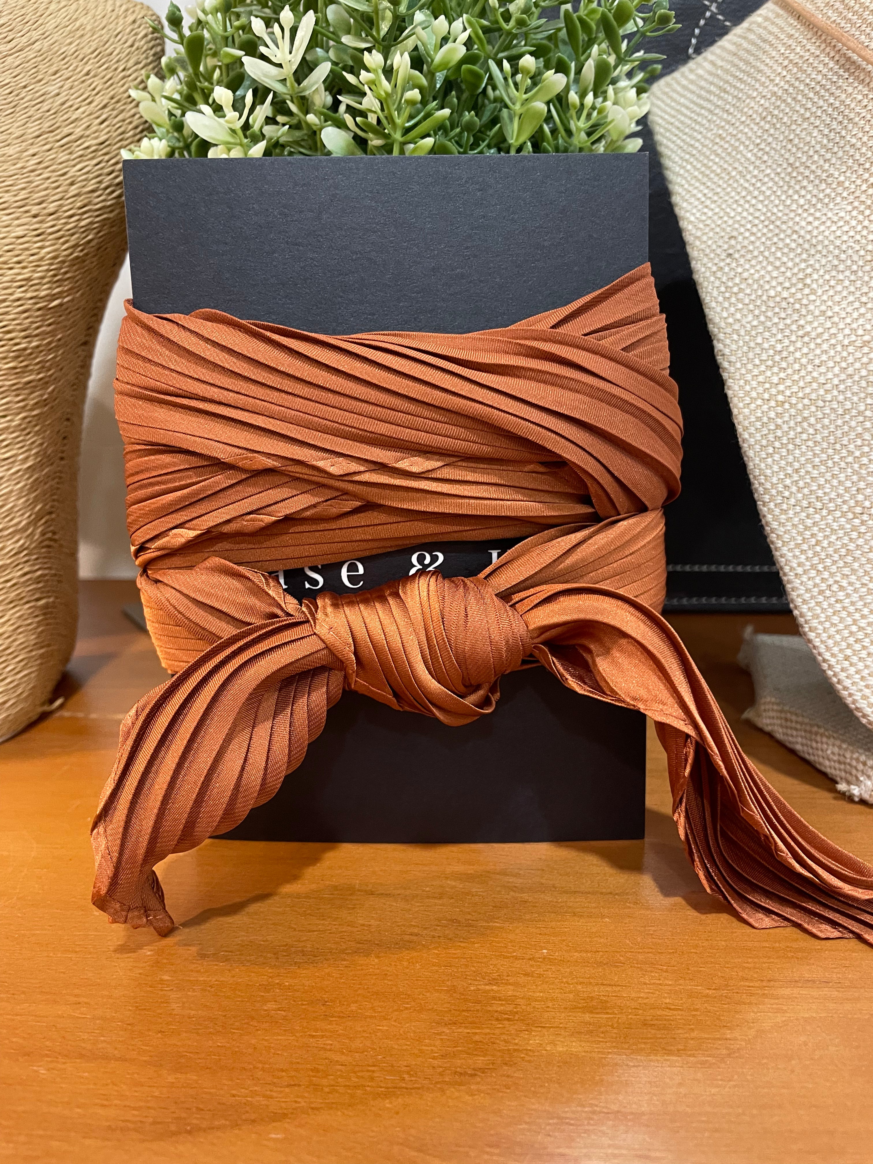 Pleated Silk Twilly Neck Ties