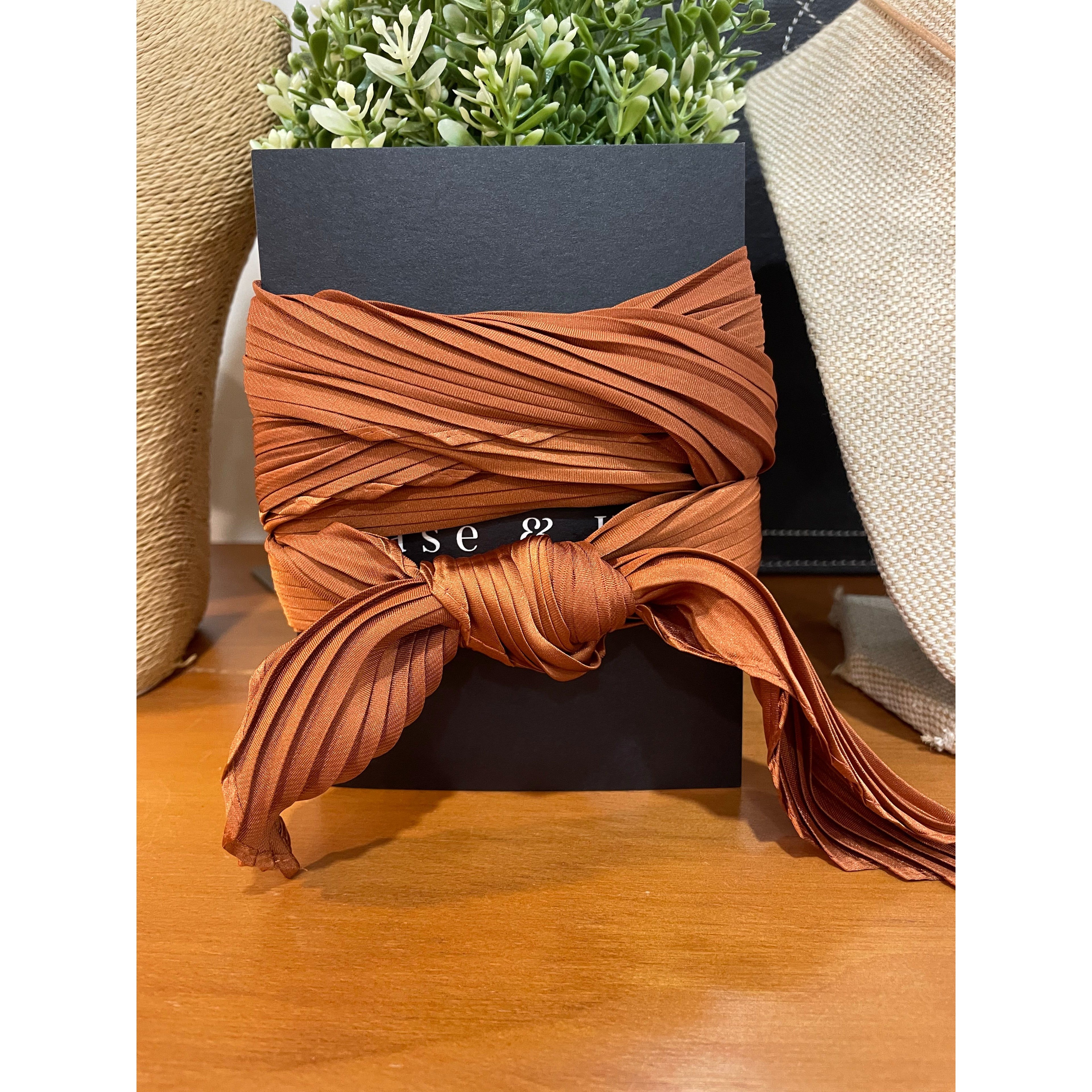 Pleated Silk Twilly Neck Ties