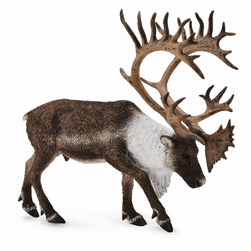 Woodland Caribou