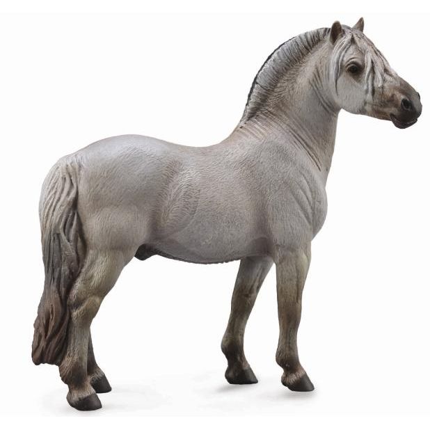 Fjord Stallion Grey
