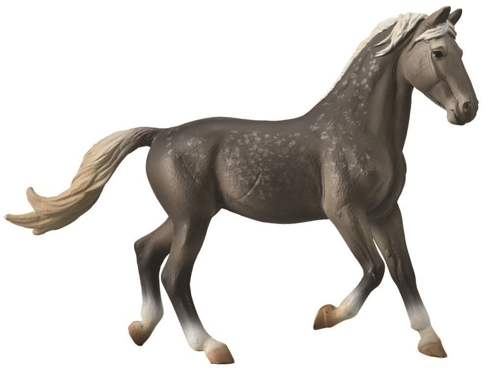 Oryol Mare Dark Grey