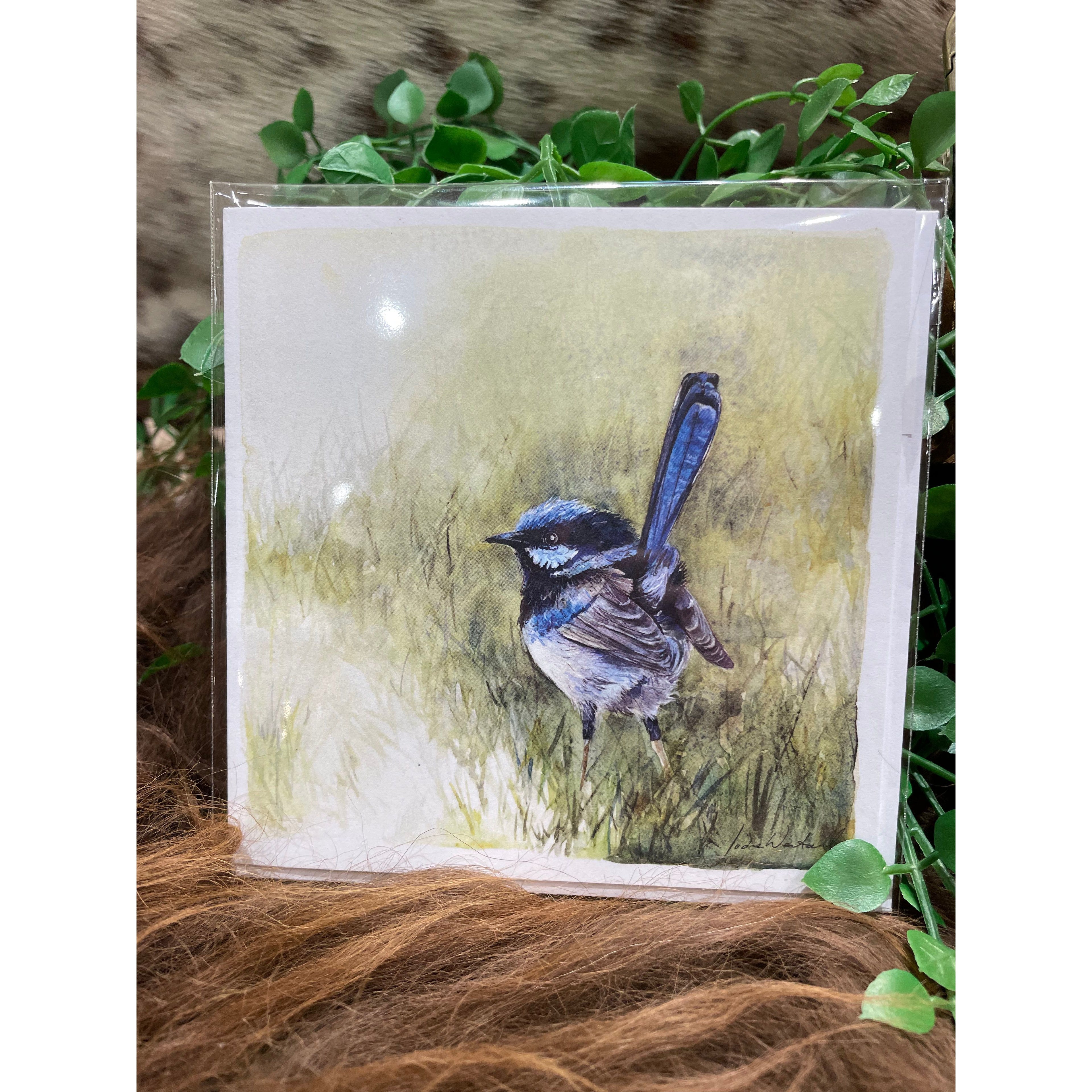 ‘Fleeting Moment’ Blue Wren - Greeting Card