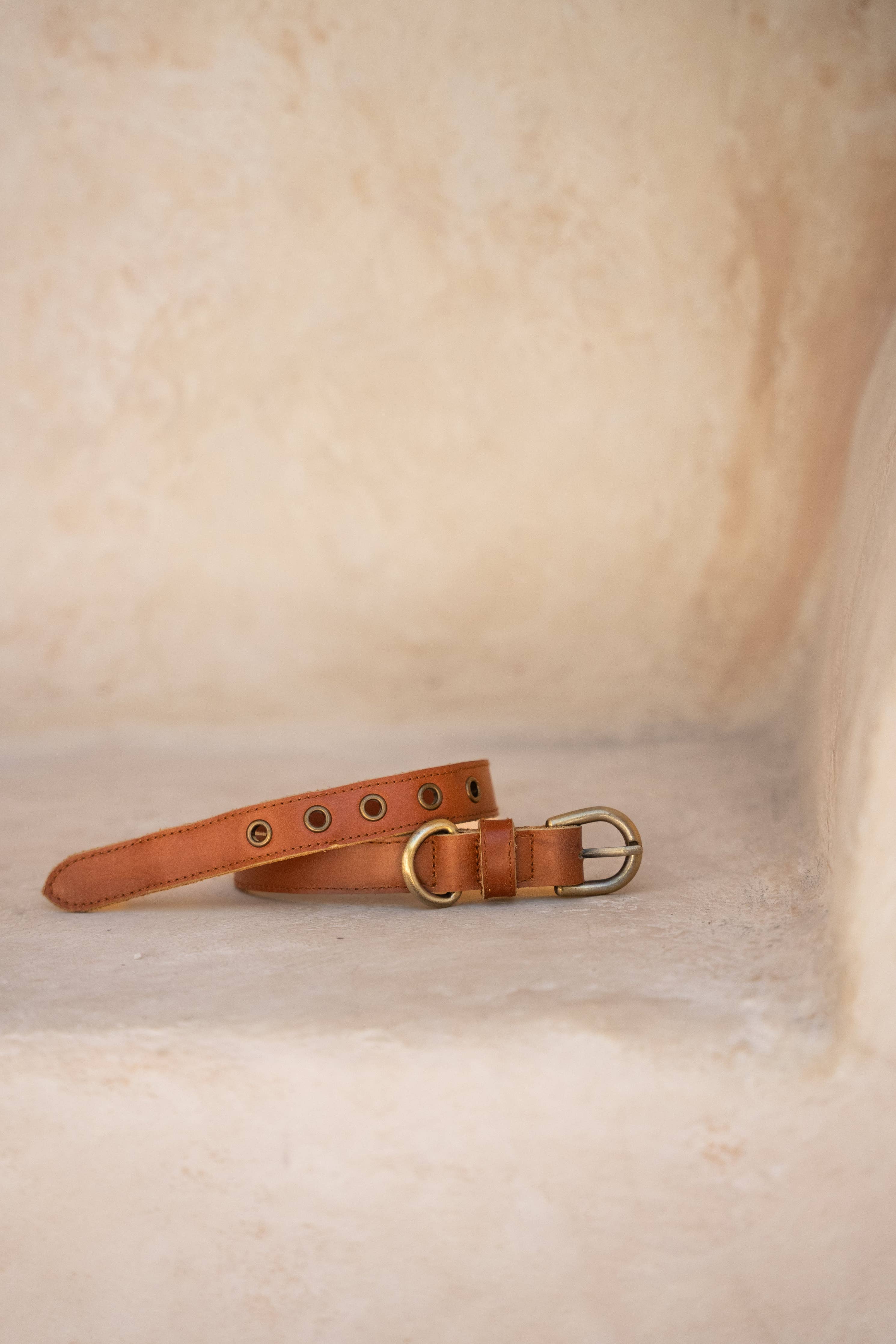 Dog Collar // Chestnut Antq