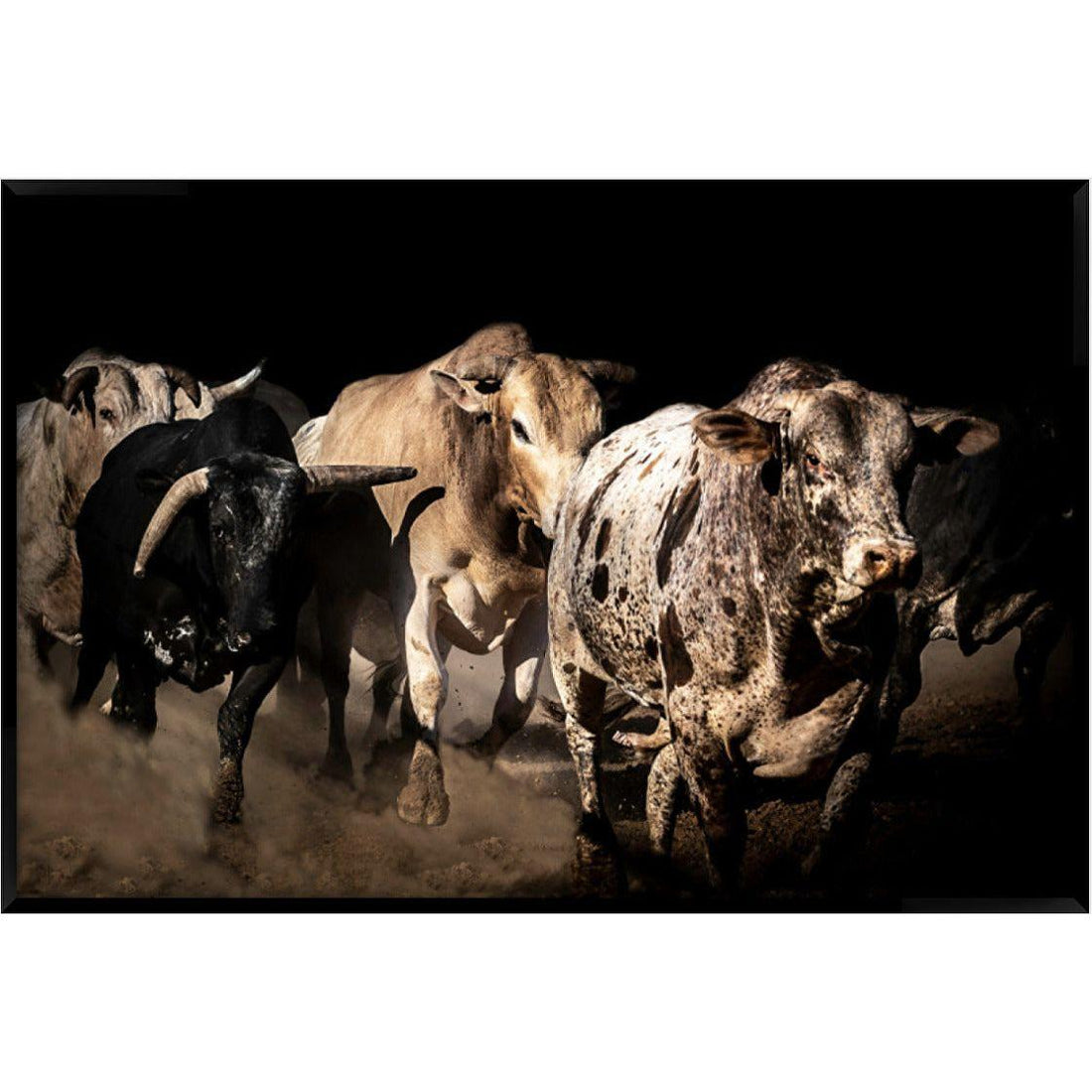 “Yelvertoft Bulls”