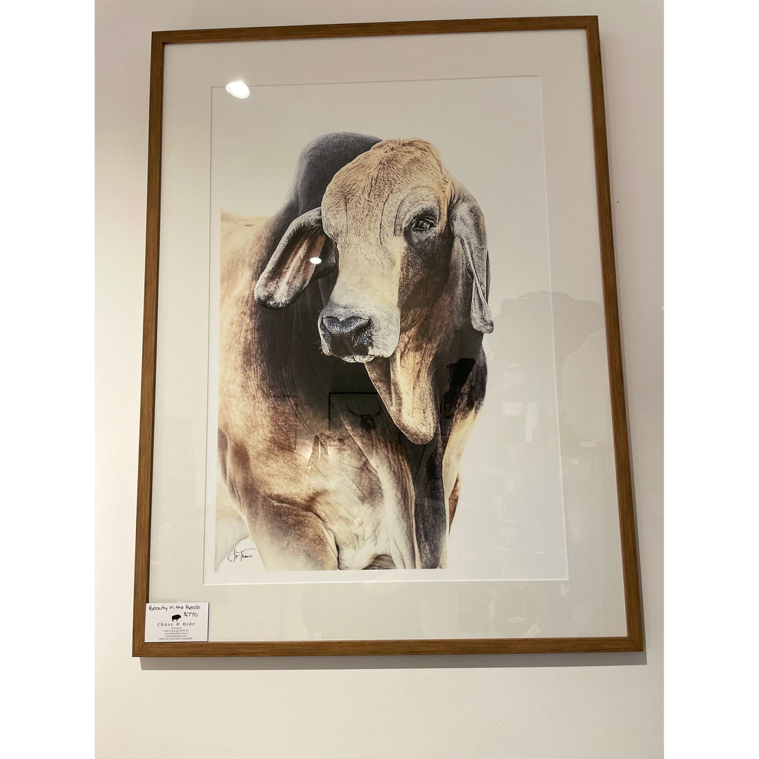 “Beauty in the beast” print only