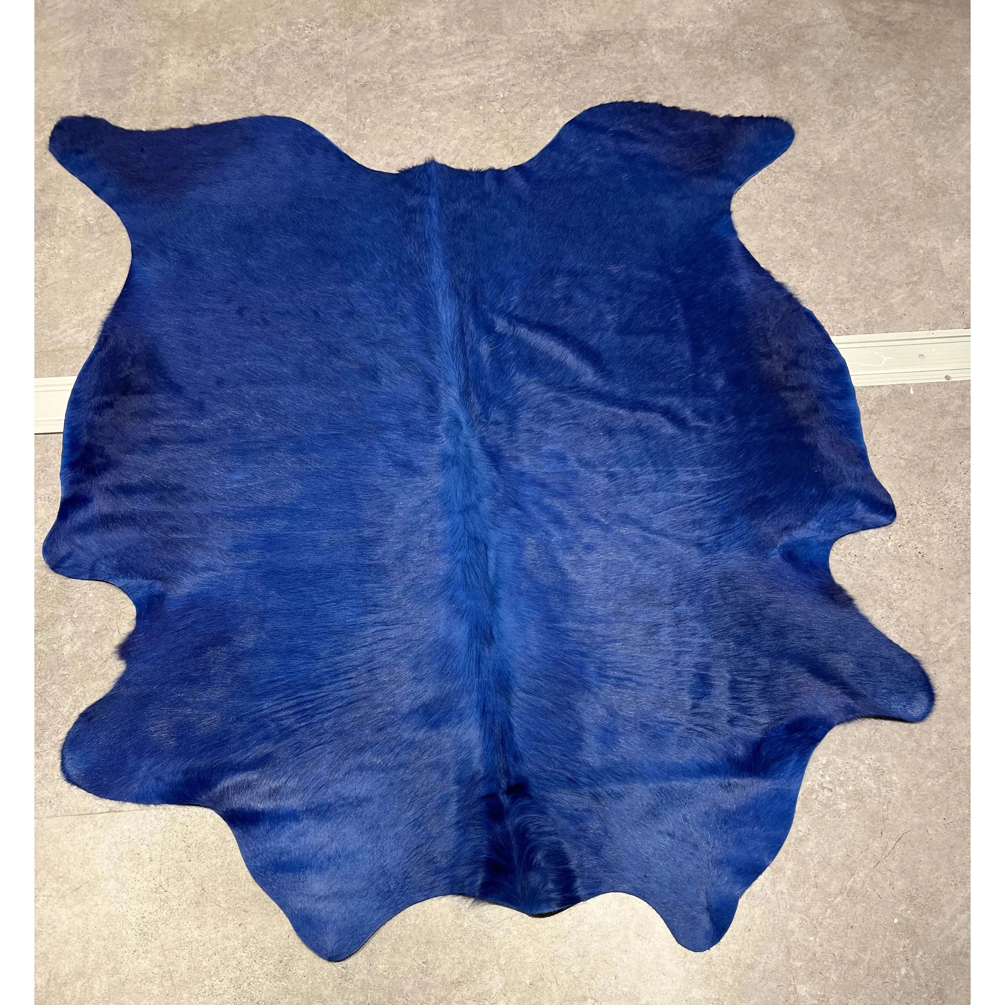 Blue Cow Hide