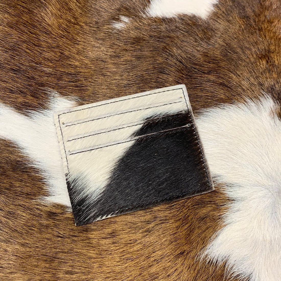 Card Holders Assorted Black Tones