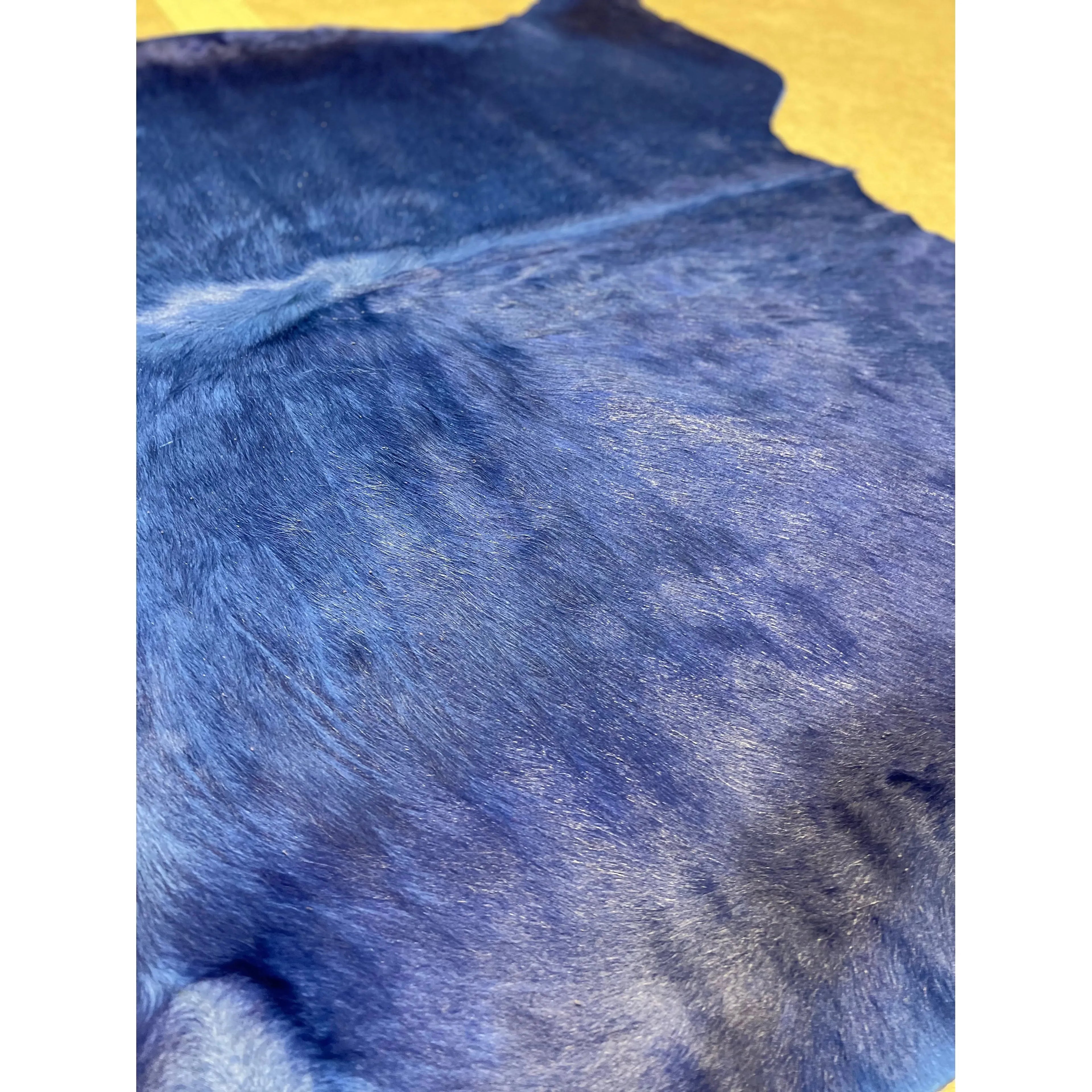 Blue Cow Hide