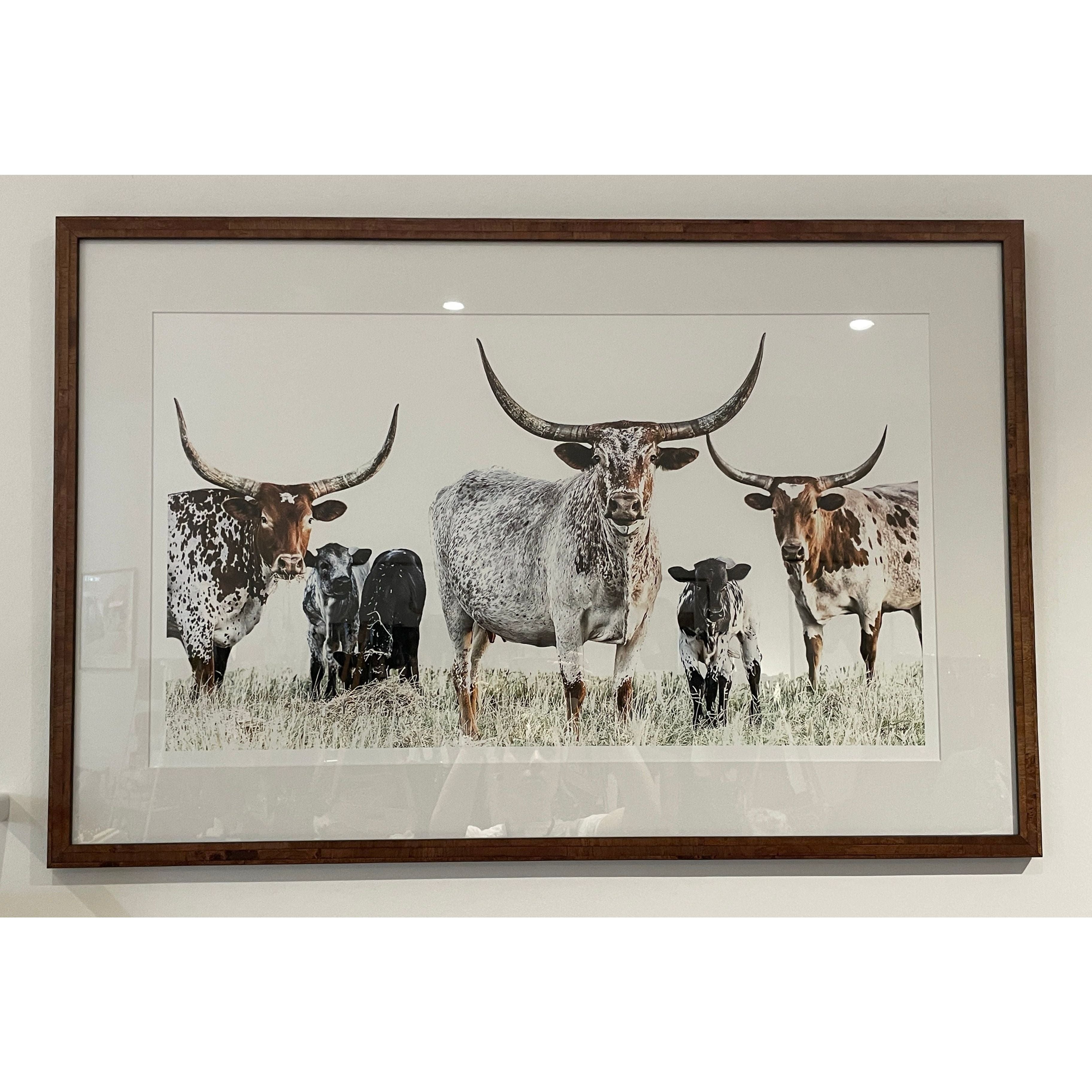 ‘Kilbeggan Cows & Calves’ available to order limited to 50 editions.
