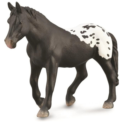 Sugarbush Draft Mare black blanket with spot