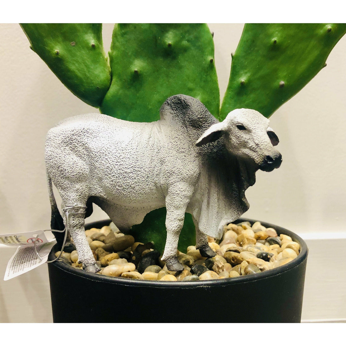 Grey Brahman Bull Collecta