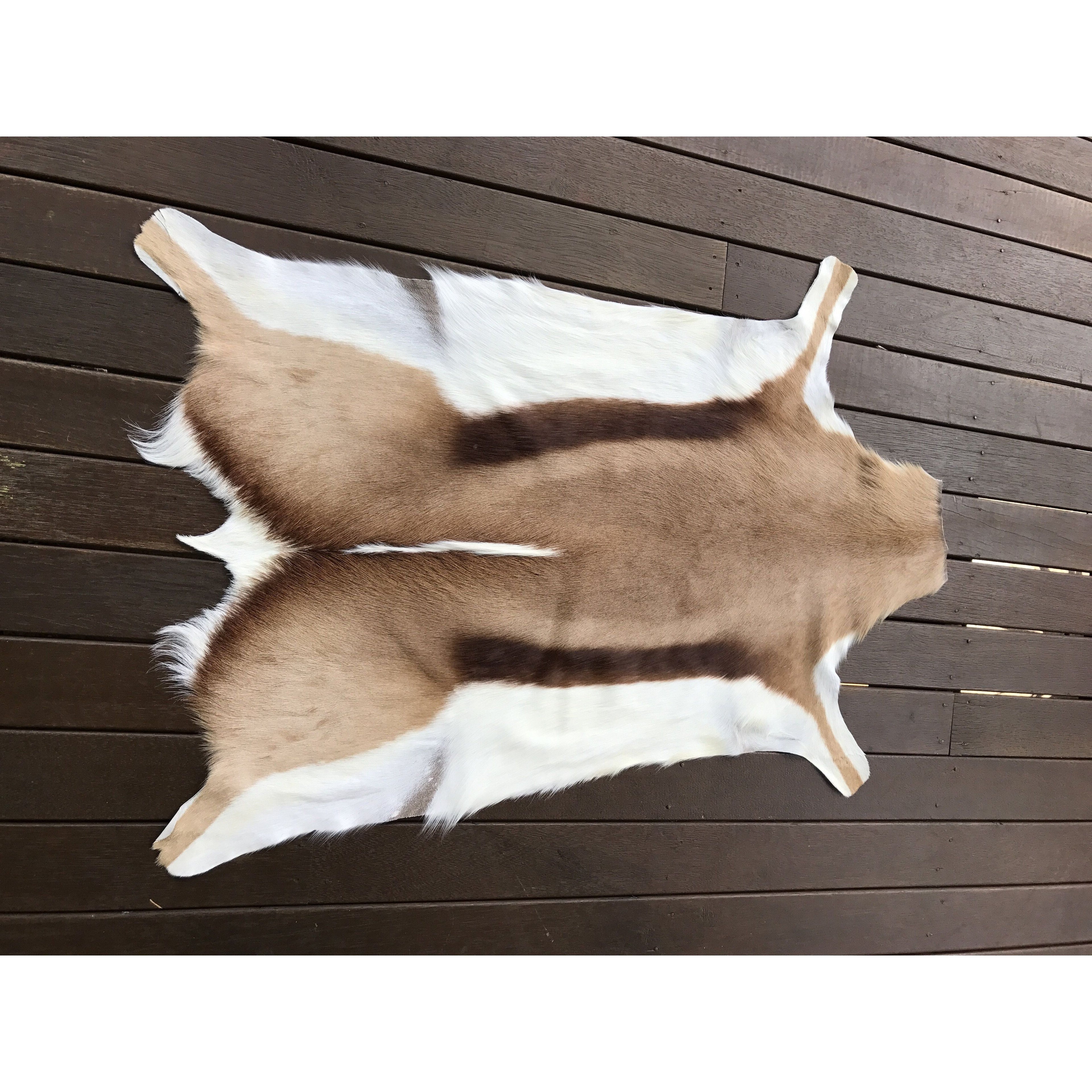 Springbok Hide