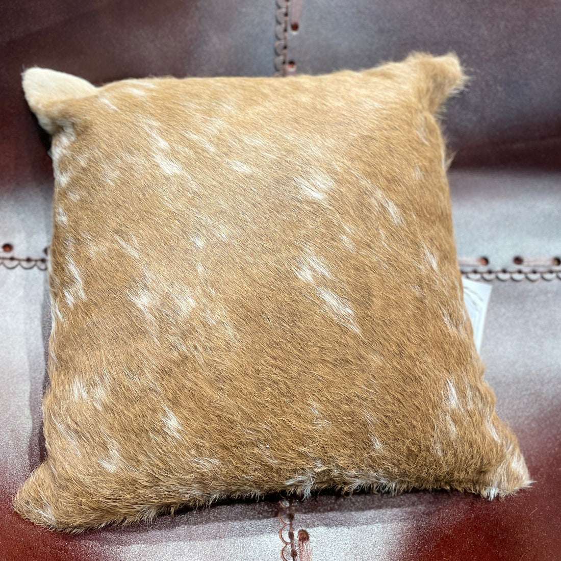 Hide and leather Cushion