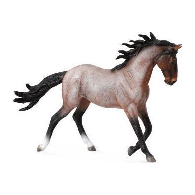 Mustang mare-bay roan