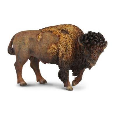American Bison