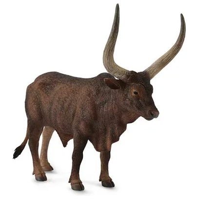ANKOLE-WATUSI BULL