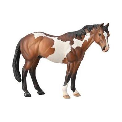 Paint Horse Bay Overo