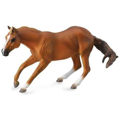 Quarter Horse Stallion Sorrel