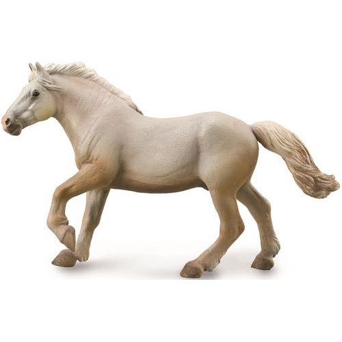 American Cream Draft Horse Stallion