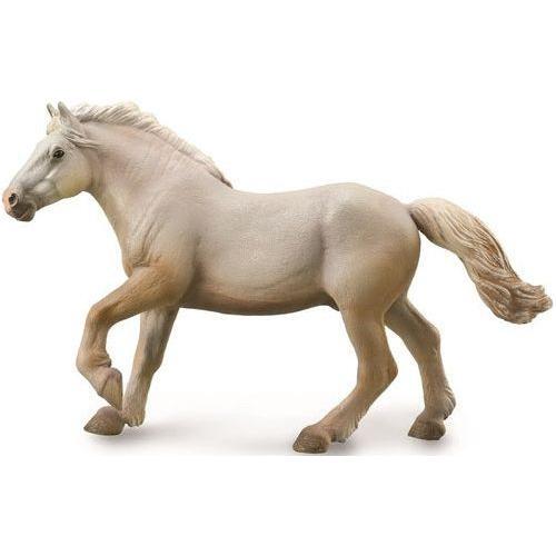 American Cream Draft Horse Stallion