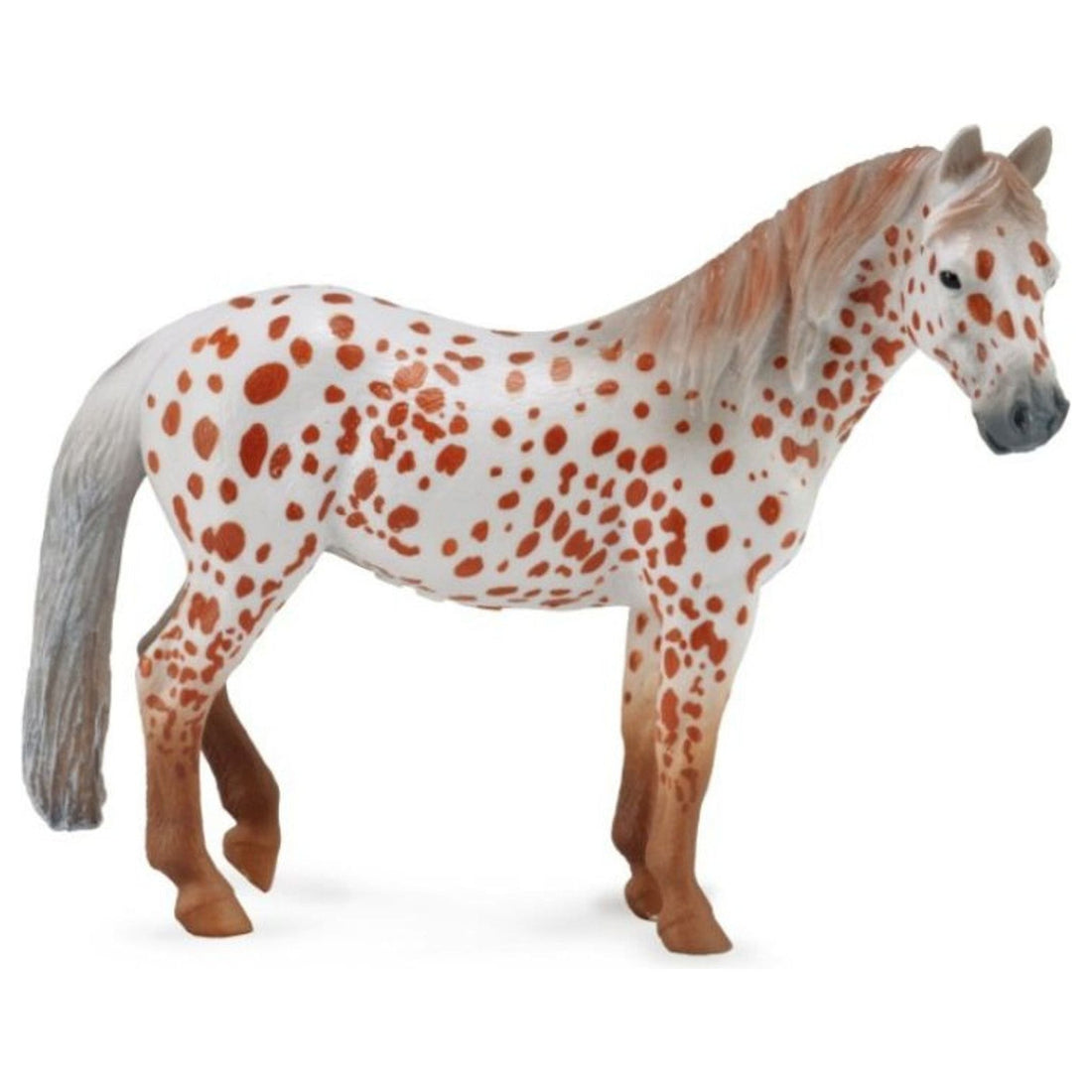 Spotted Mare Chestnut