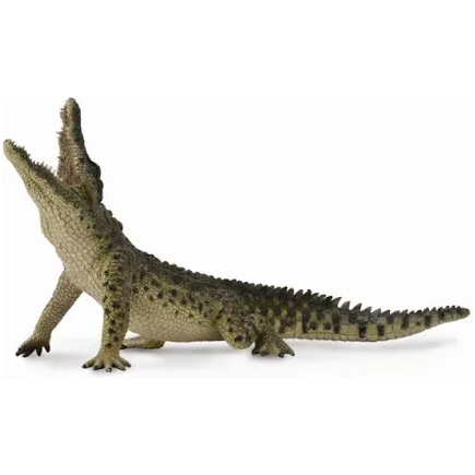 Nile Crocodile Leaping