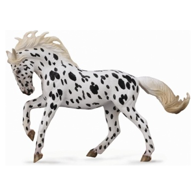 KNABSTRUPPER MARE BLACK LEOPARD