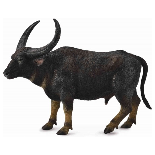 Wild water Buffalo (L)