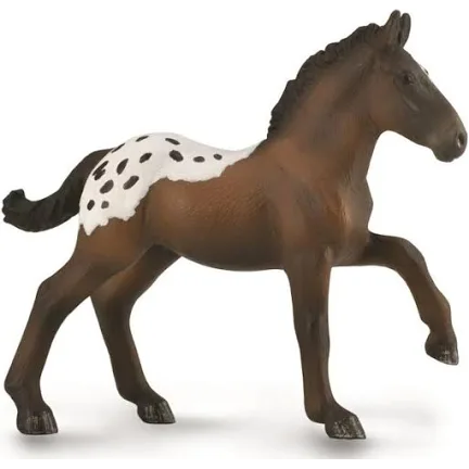 SugarBush draft foal Collecta
