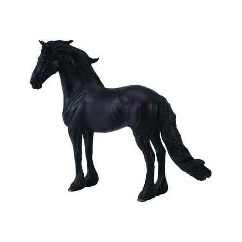Friesian Stallion