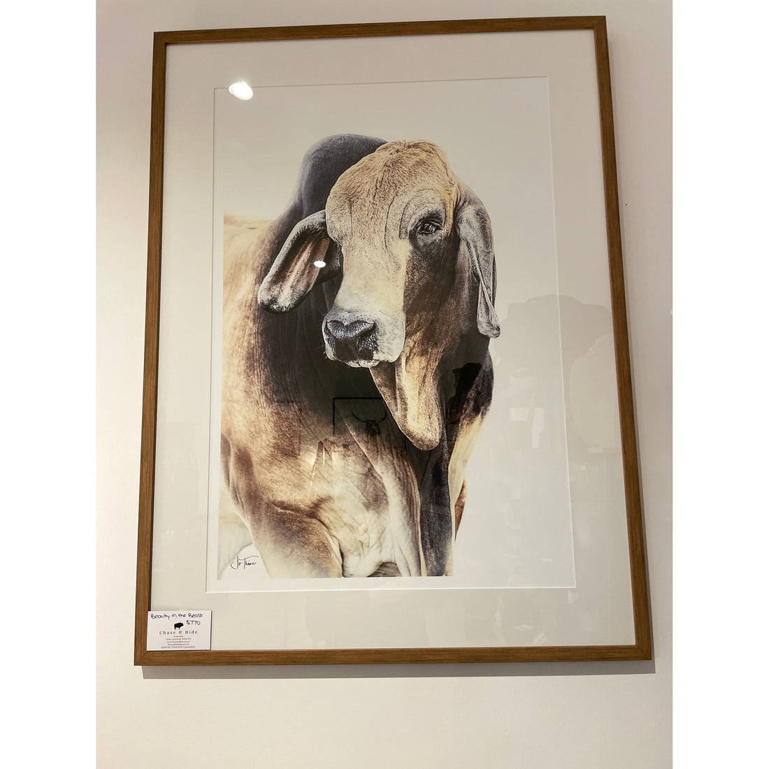 “Beauty in the beast”