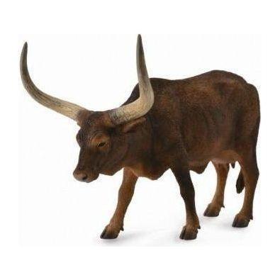 ANKOLE-WATUSI COW