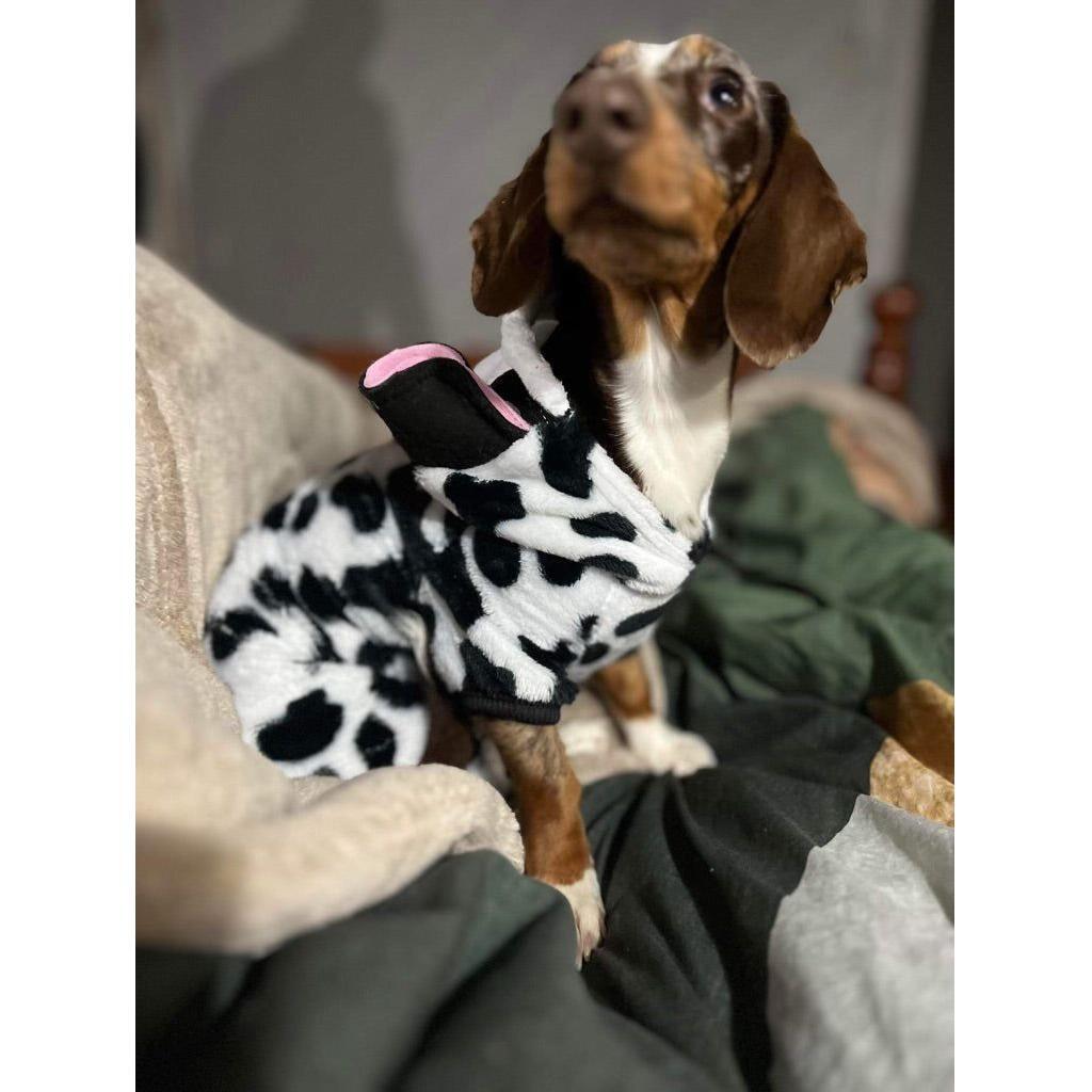 Cow Dog jumper