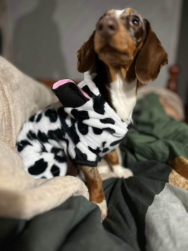 Cow Dog jumper 