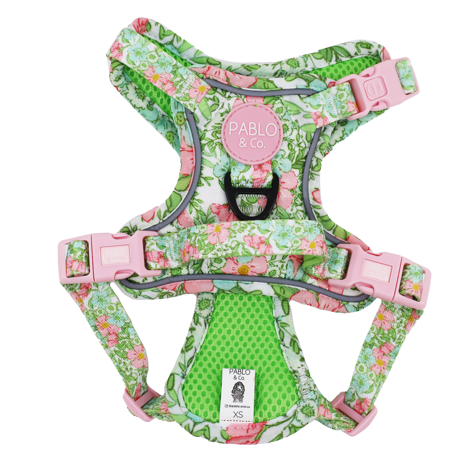 Flora &amp; Fern: No Pull Dog Adventure Harness