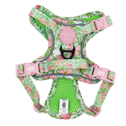Flora &amp; Fern: No Pull Dog Adventure Harness