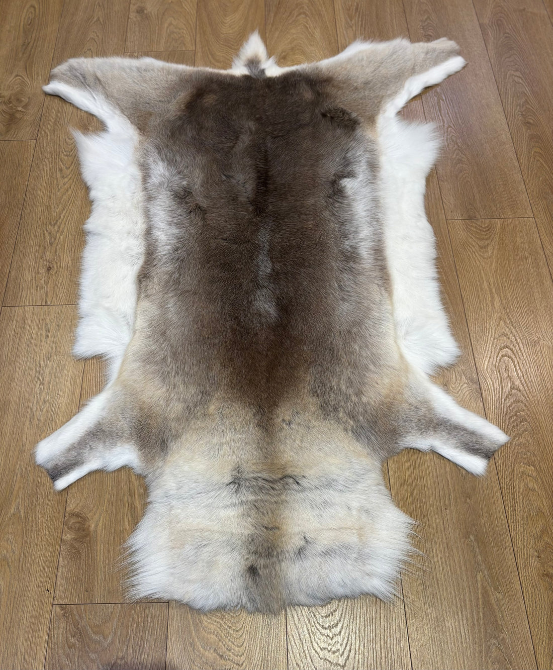 Reindeer Hide 