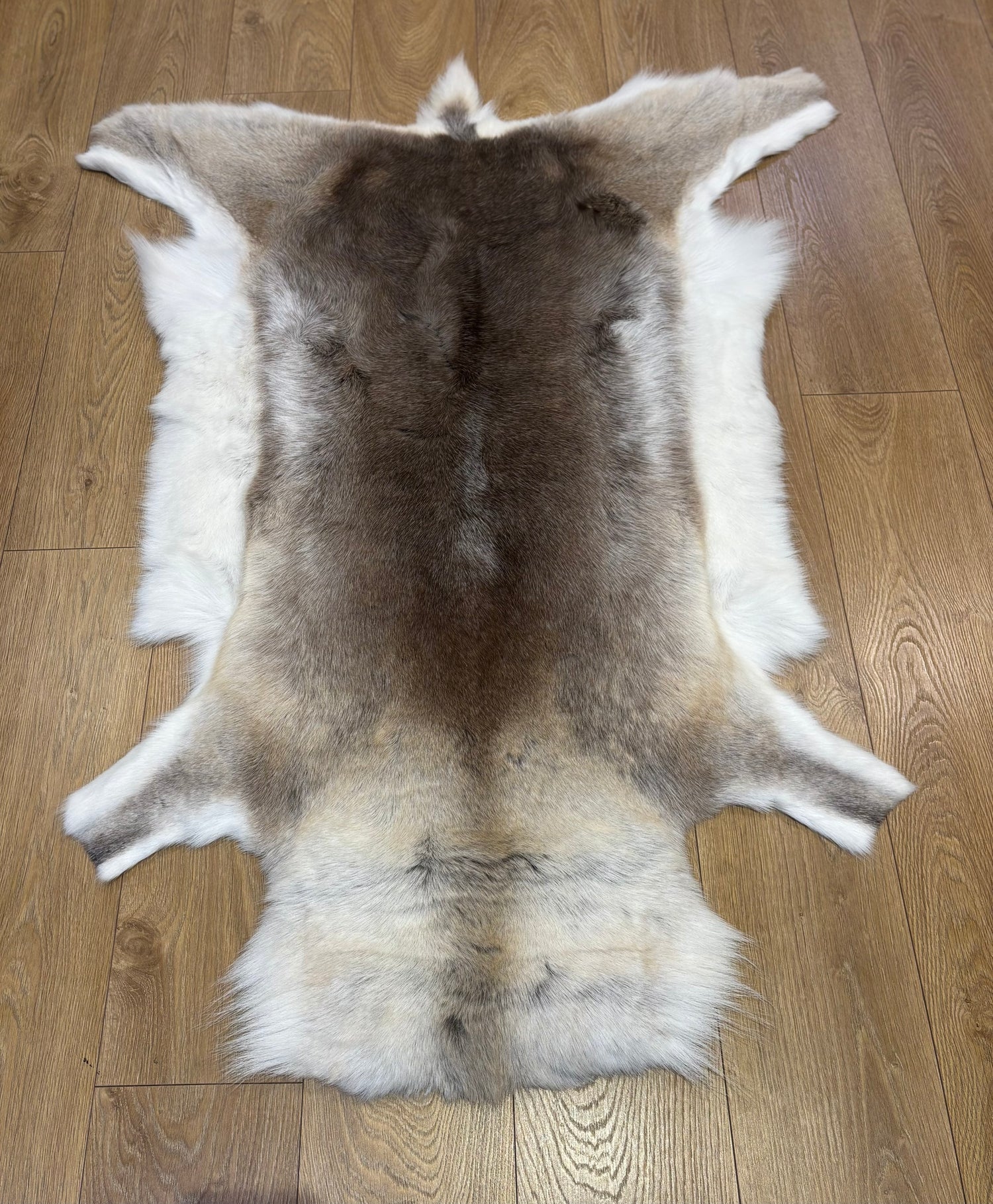 Reindeer Hide 