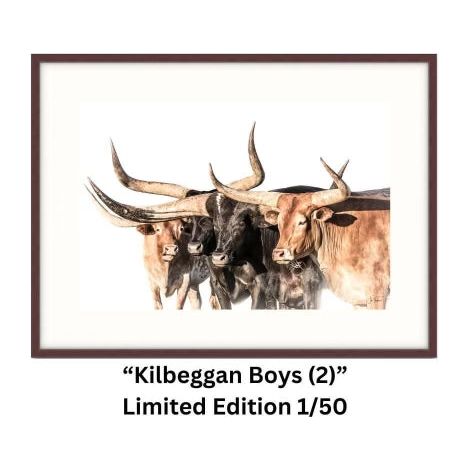 “Kilbeggan Boys (2) “