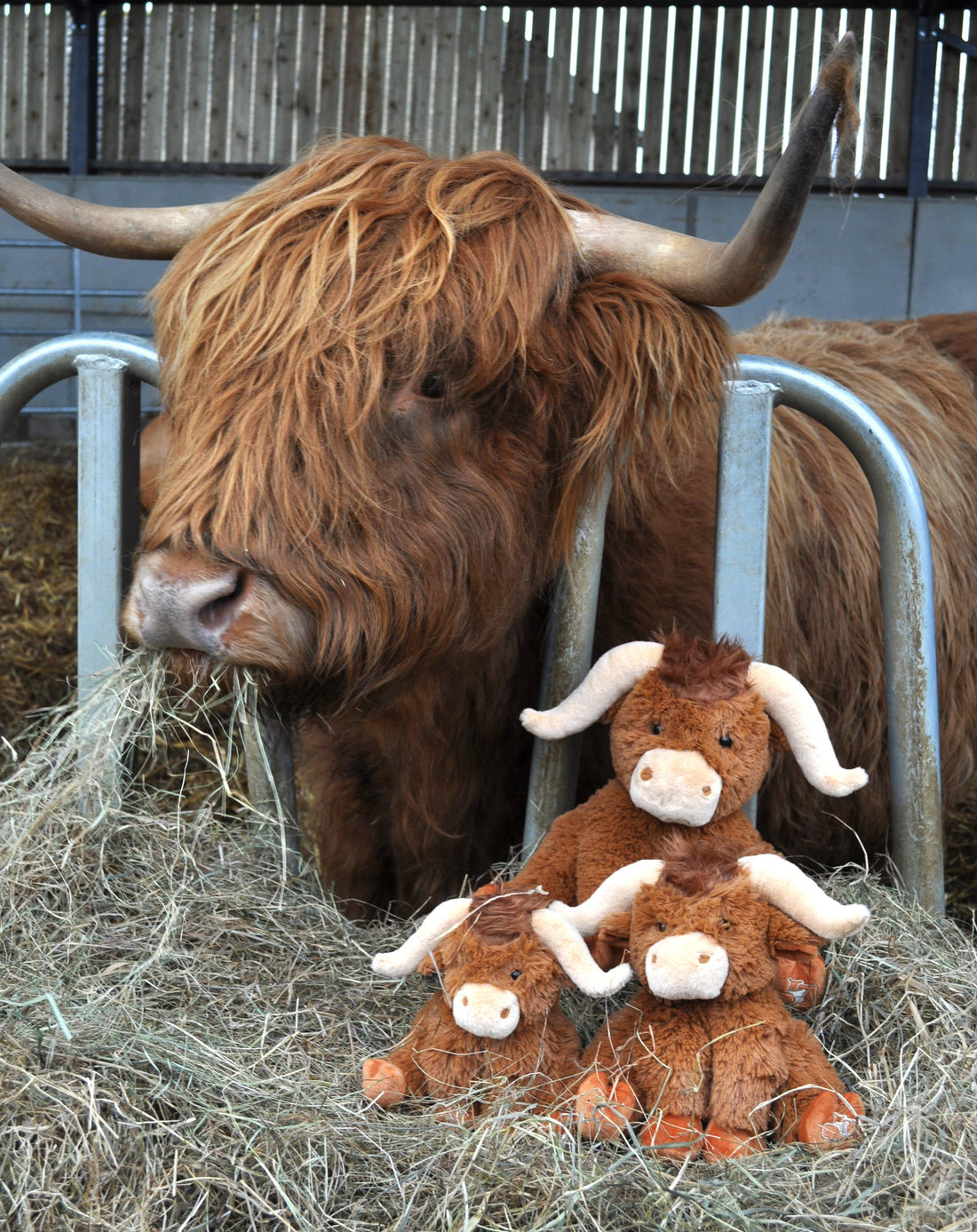 Hairy Highland Cow Plush Brown Large Soft Toy 30CM