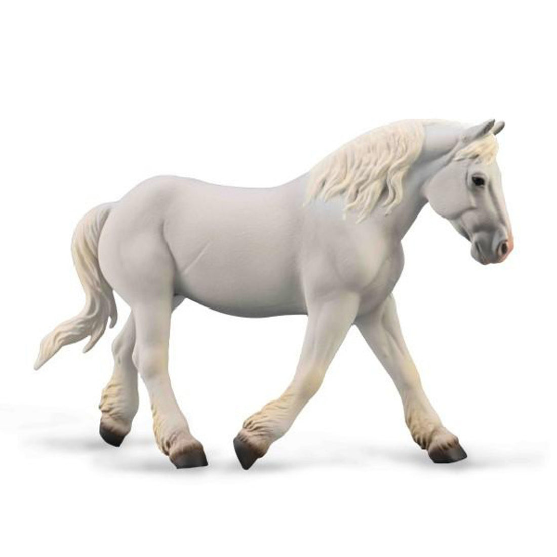 Boulonnais Mare Grey