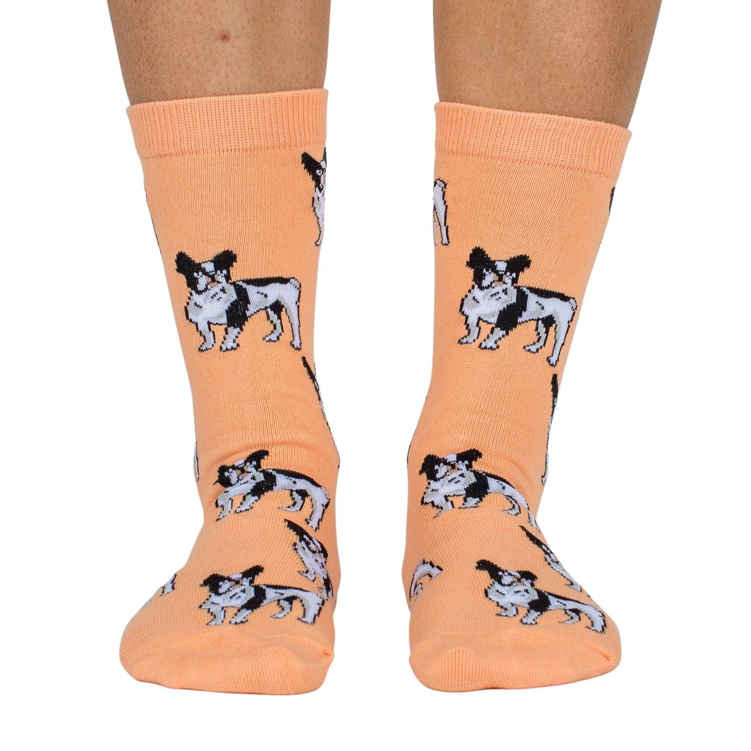 Dog Breed Socks